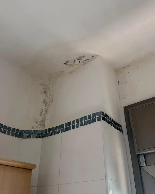 פינת תקרה בחדר רחצה עם כתמי רטיבות ועובש כהים שיורדים לאורך הקיר